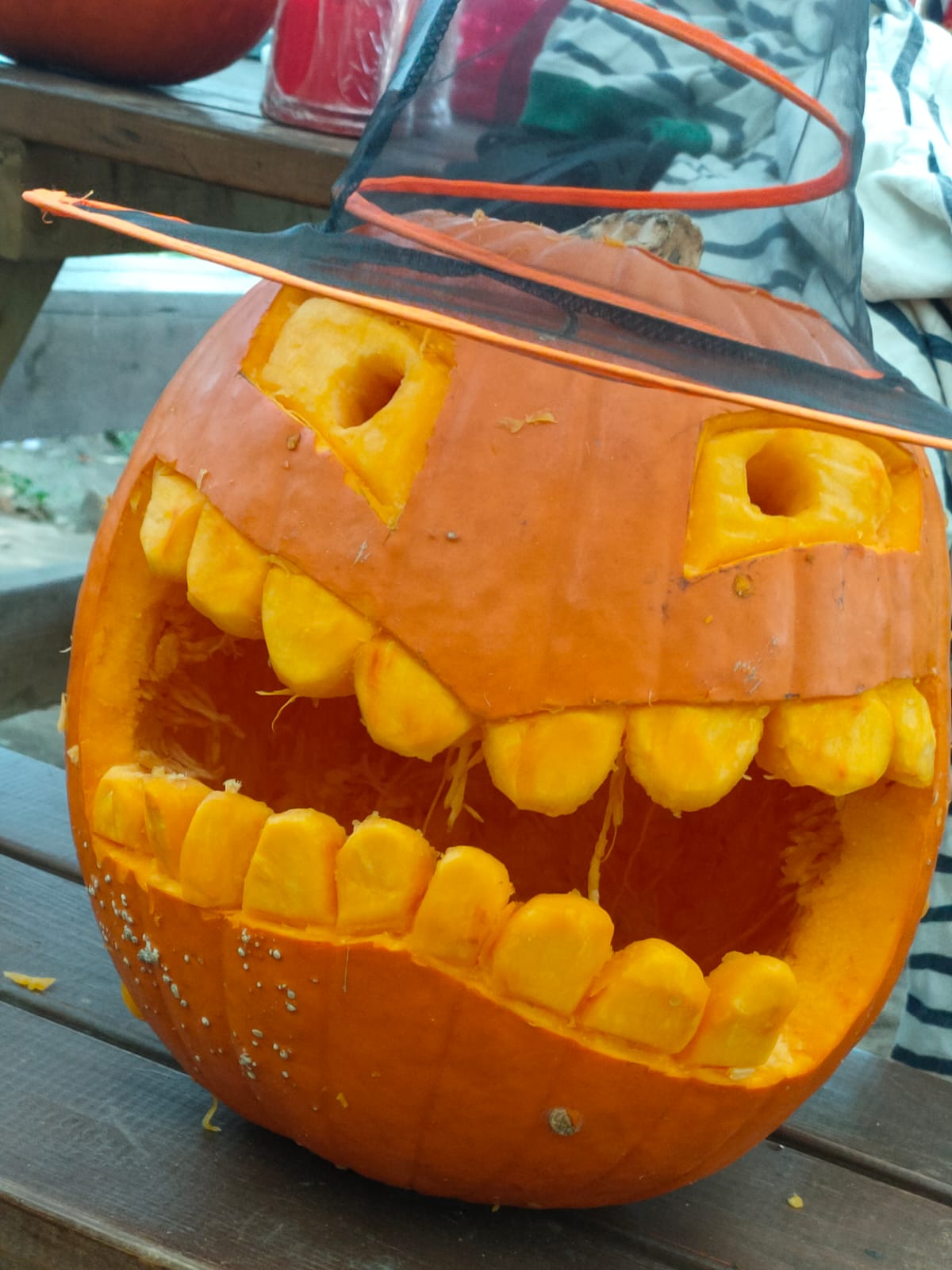 HALLOWEEN FESTE NEL BOSCO 2026